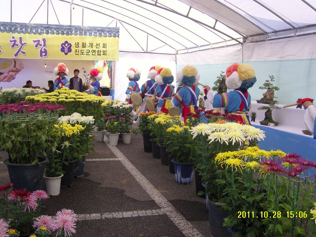 10 국화축제 4.JPG